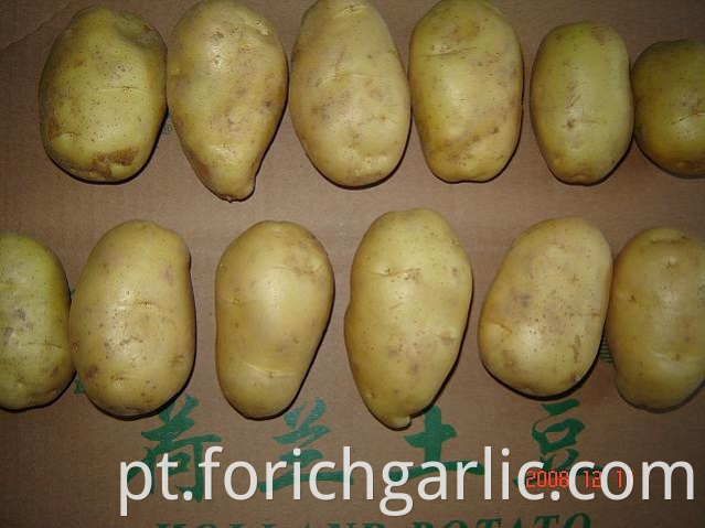 Fresh Potato